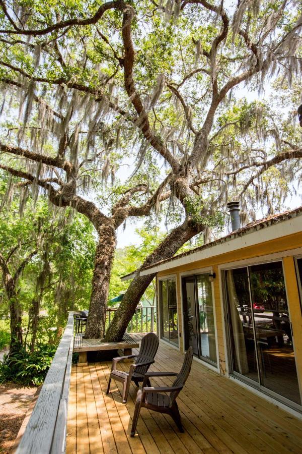 Riverfront Treetop Bungalow Homosassa Luaran gambar